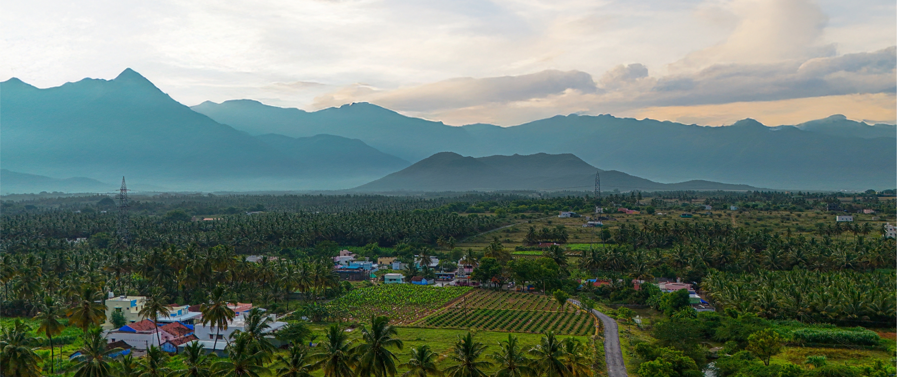 Sustainable Solutions for a Brighter Future
