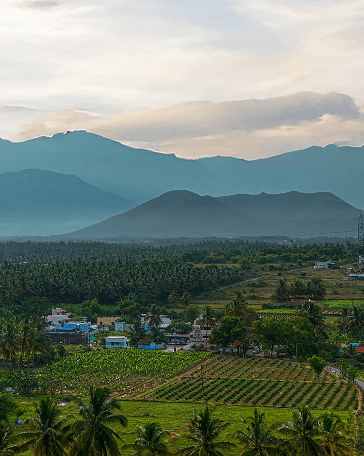 Sustainable Solutions for a Brighter Future