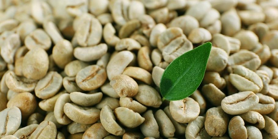 Green Coffee