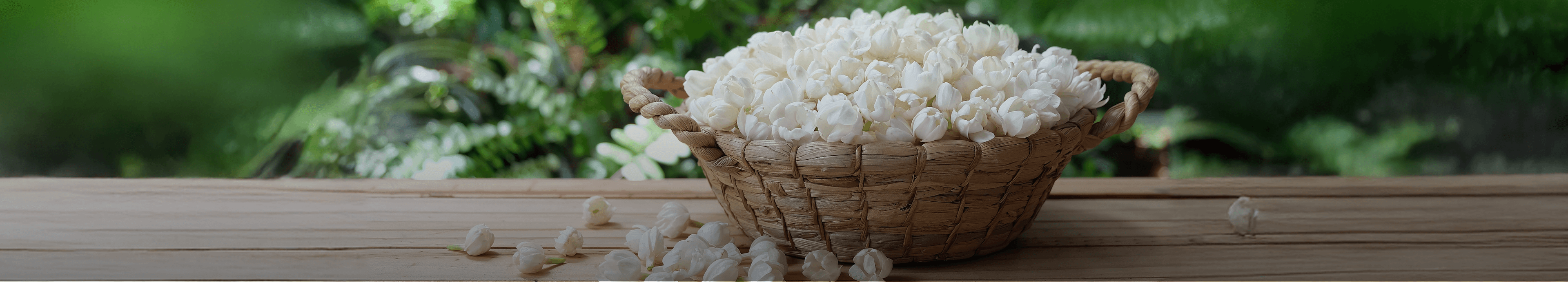 Fragrance Ingredients