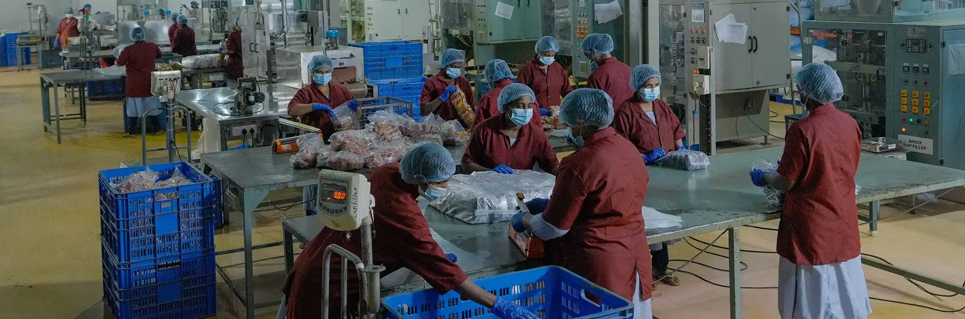 Synthite Industries employee in a blue hard hat and uniform carefully inspecting equipment inside a modern processing facility.